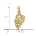 FJC Finejewelers 10 kt Yellow Gold 2-D Precious Wentletrap Shell Charm 15 x 9 mm