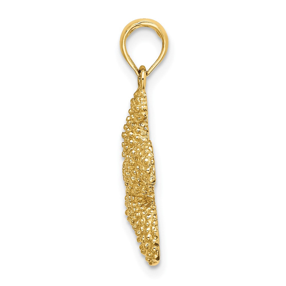 FJC Finejewelers 10 kt Yellow Gold 2-D Puffed Starfish Charm 18 x 18 mm