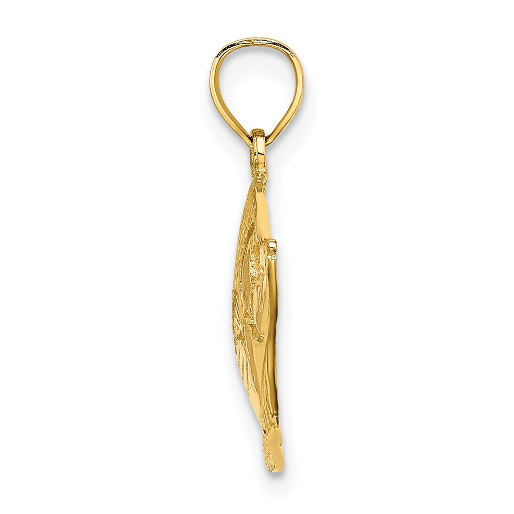 FJC Finejewelers 10 kt Yellow Gold 2-D Polished Textured Fish Charm 14 x 25 mm