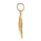 FJC Finejewelers 10 kt Yellow Gold 2-D Polished Textured Fish Charm 14 x 25 mm