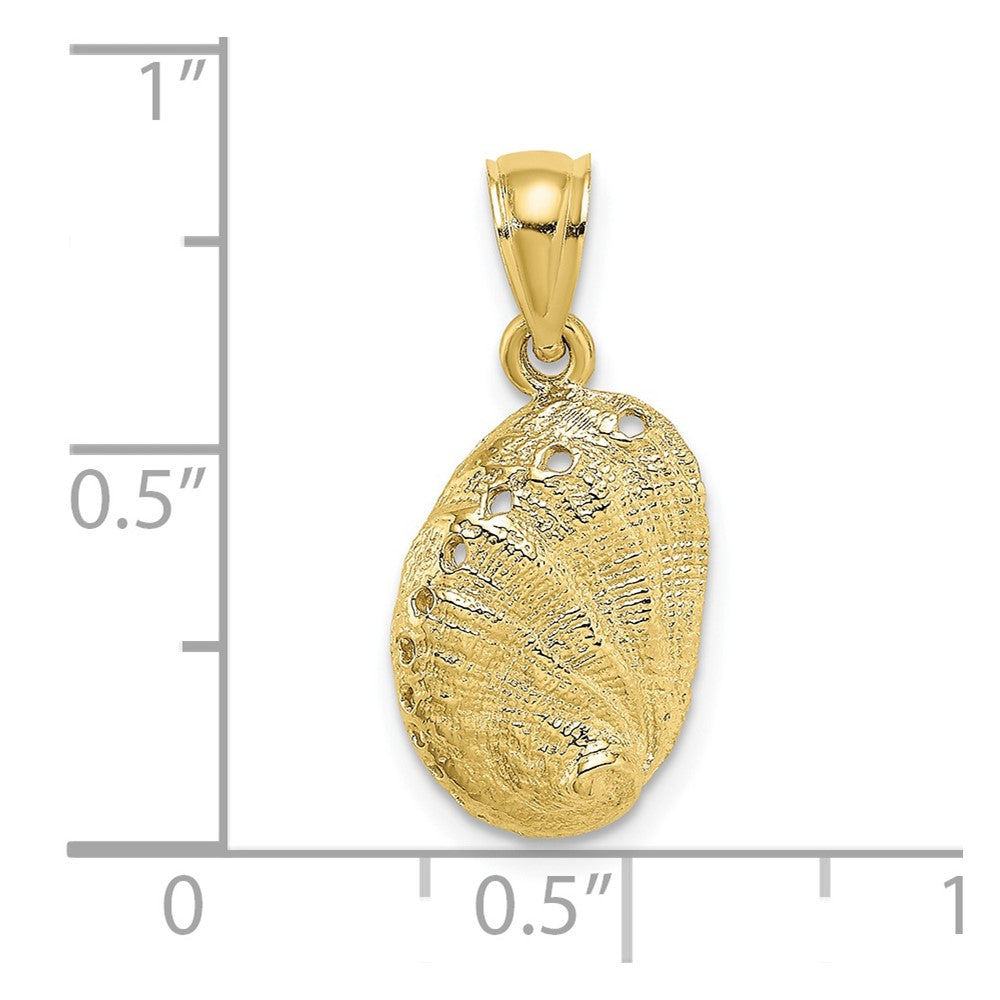 FJC Finejewelers 10 kt Yellow Gold 2-D Abalone Shell Charm 15 x 10 mm
