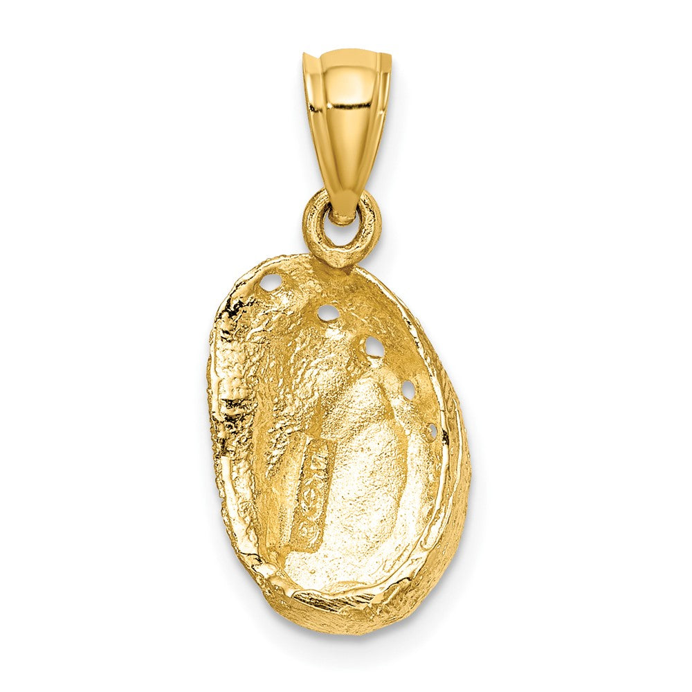 FJC Finejewelers 10 kt Yellow Gold 2-D Abalone Shell Charm 15 x 10 mm