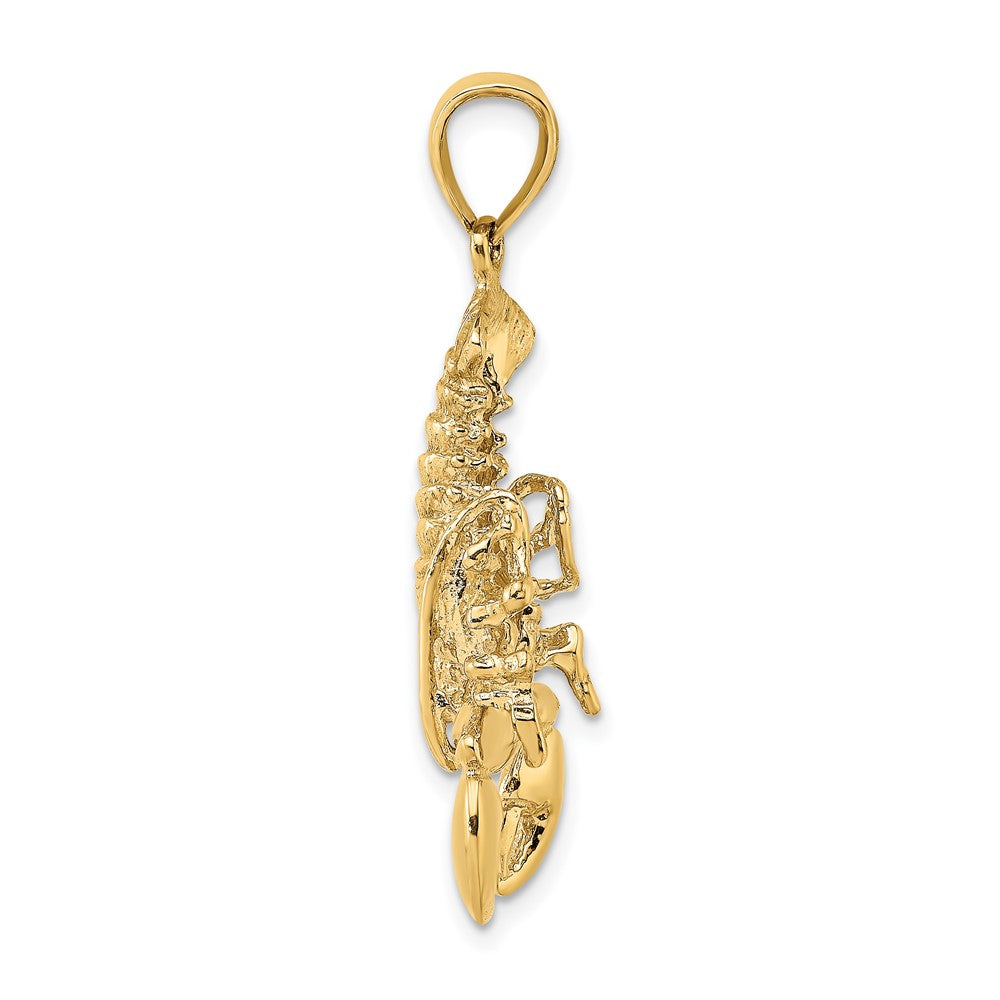 FJC Finejewelers 10 kt Yellow Gold 2-D Moveable Lobster Charm 26 x 15 mm