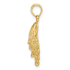 FJC Finejewelers 10 kt Yellow Gold Lions Paw Shell Charm 19 x 18 mm