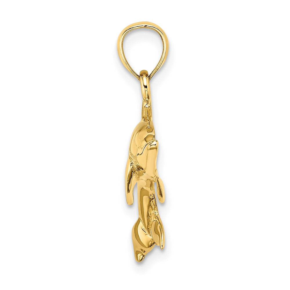 FJC Finejewelers 10 kt Yellow Gold 2-D and Polished Swimming Dolphin Charm 16 x 29 mm