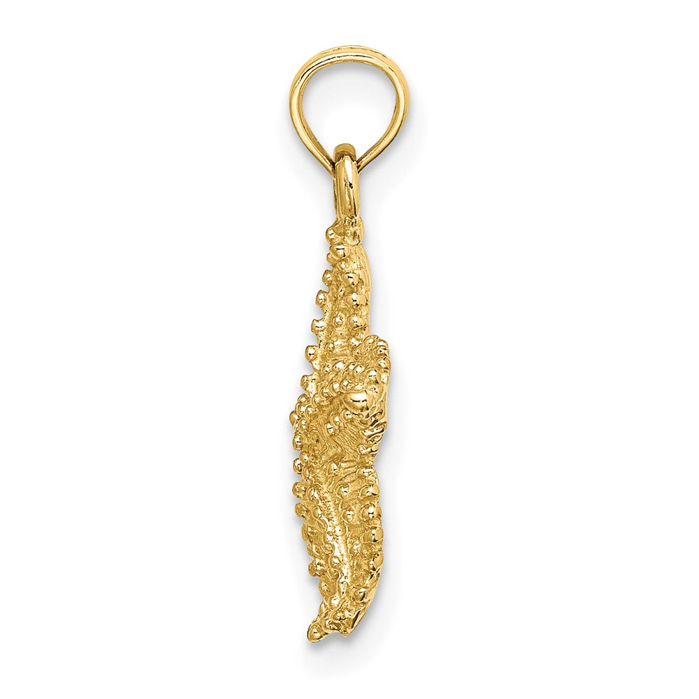 FJC Finejewelers 10 kt Yellow Gold Starfish W/ Beaded Texture Charm 15 x 15 mm