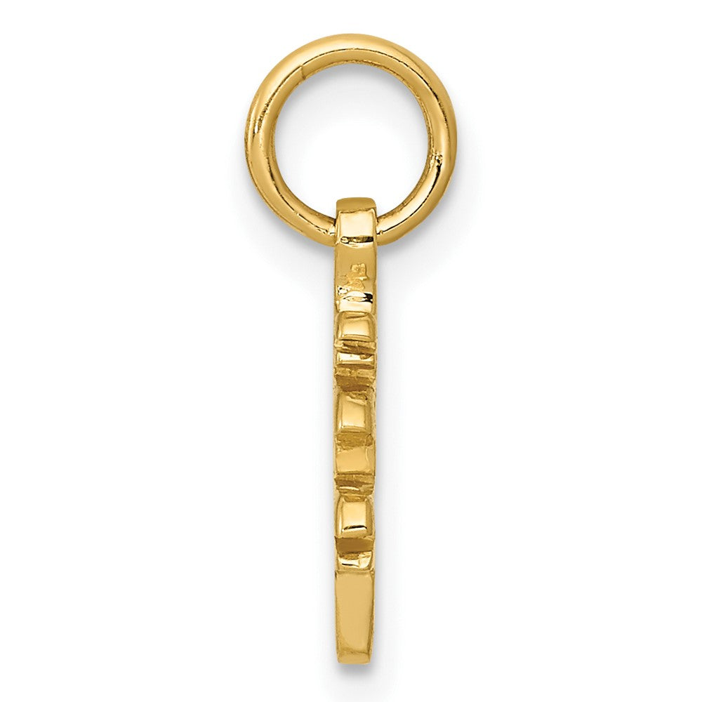 FJC Finejewelers 10 kt Yellow Gold Solid Polished Chinese Long Life Charm 16 x 9 mm