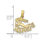 FJC Finejewelers 10 kt Yellow Gold AQUARIUS Zodiac Charm 17 x 16 mm