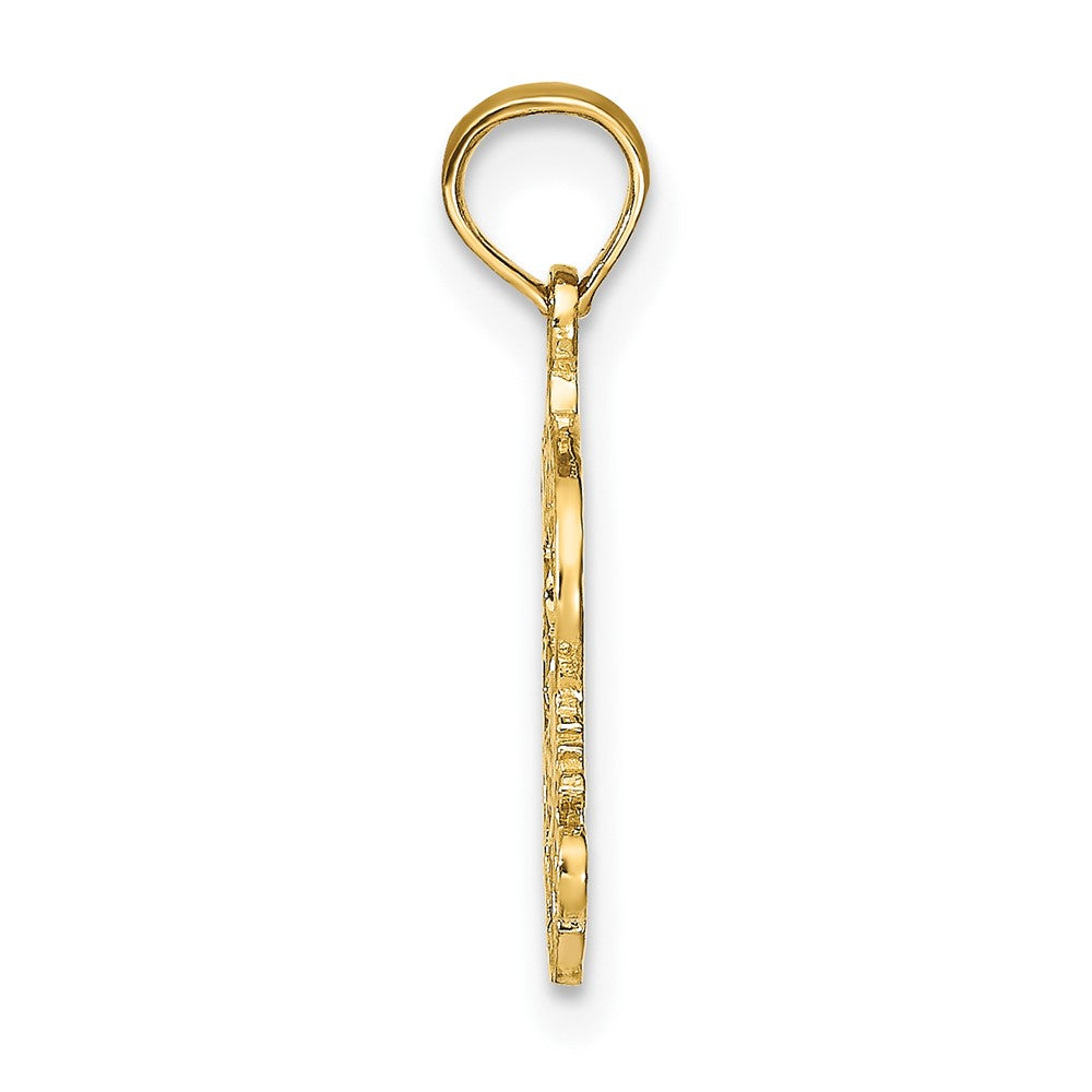 FJC Finejewelers 10 kt Yellow Gold PISCES Zodiac Charm 19 x 12 mm