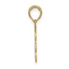 FJC Finejewelers 10 kt Yellow Gold LEO Zodiac Charm 19 x 13 mm