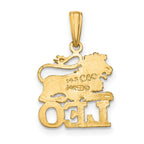 FJC Finejewelers 10 kt Yellow Gold LEO Zodiac Charm 19 x 13 mm