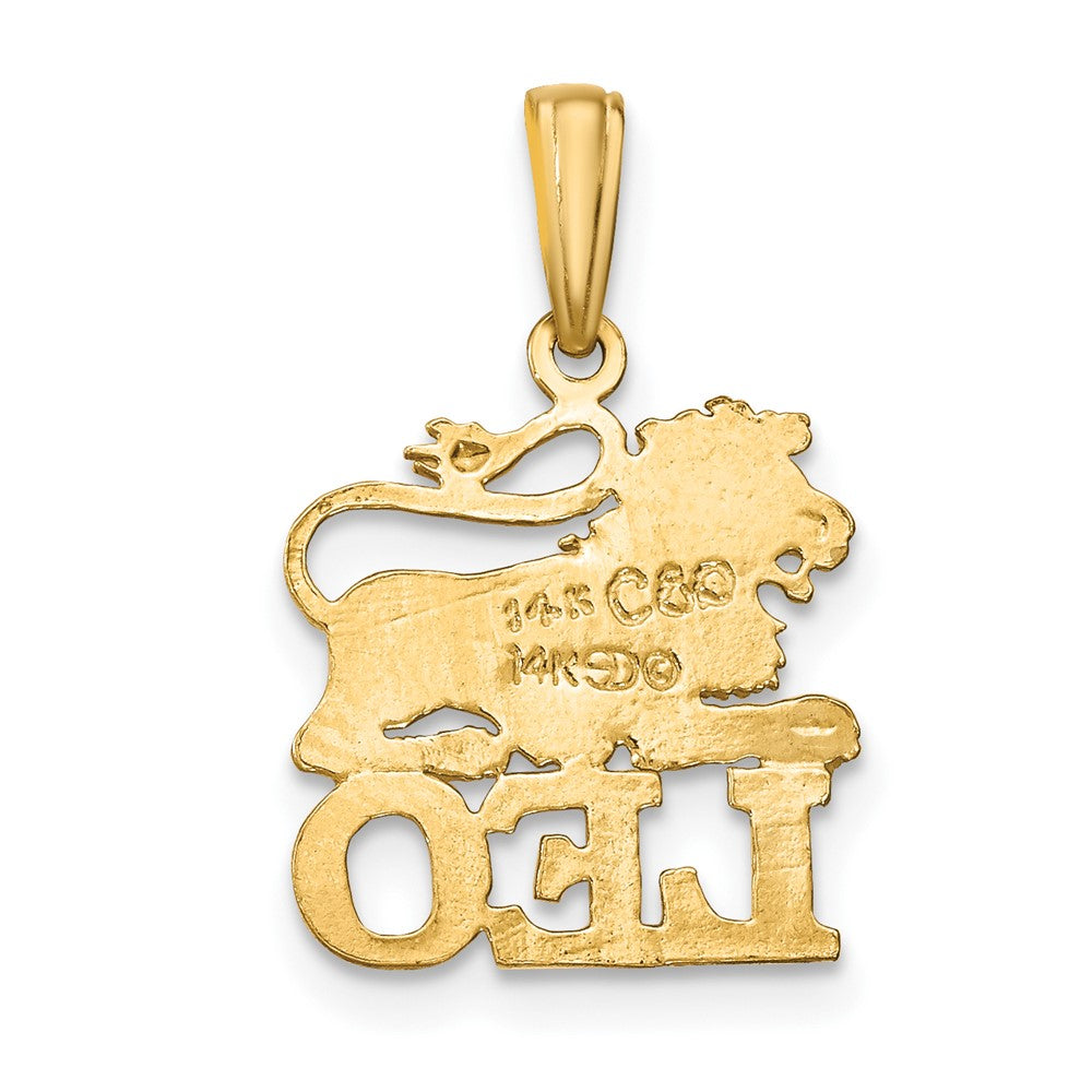 FJC Finejewelers 10 kt Yellow Gold LEO Zodiac Charm 19 x 13 mm
