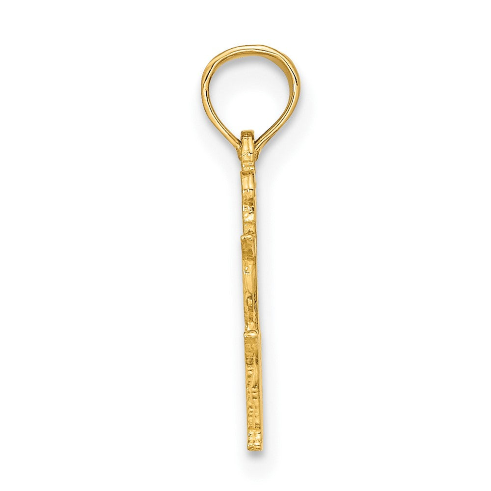 FJC Finejewelers 10 kt Yellow Gold VIRGO Zodiac Charm 17 x 13 mm