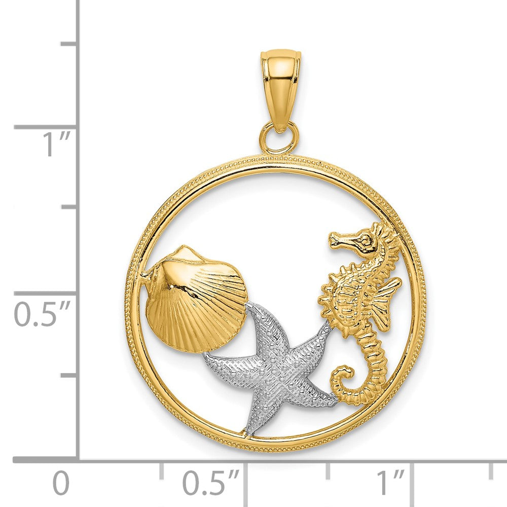 FJC Finejewelers 10 kt Yellow Gold with Rhodium Scallop, Starfish ,Seahorse Circle Charm 24 x 24 mm