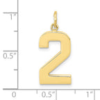 FJC Finejewelers 10 kt Yellow Gold Casted Large Polished Number 2 Charm 25 x 10 mm