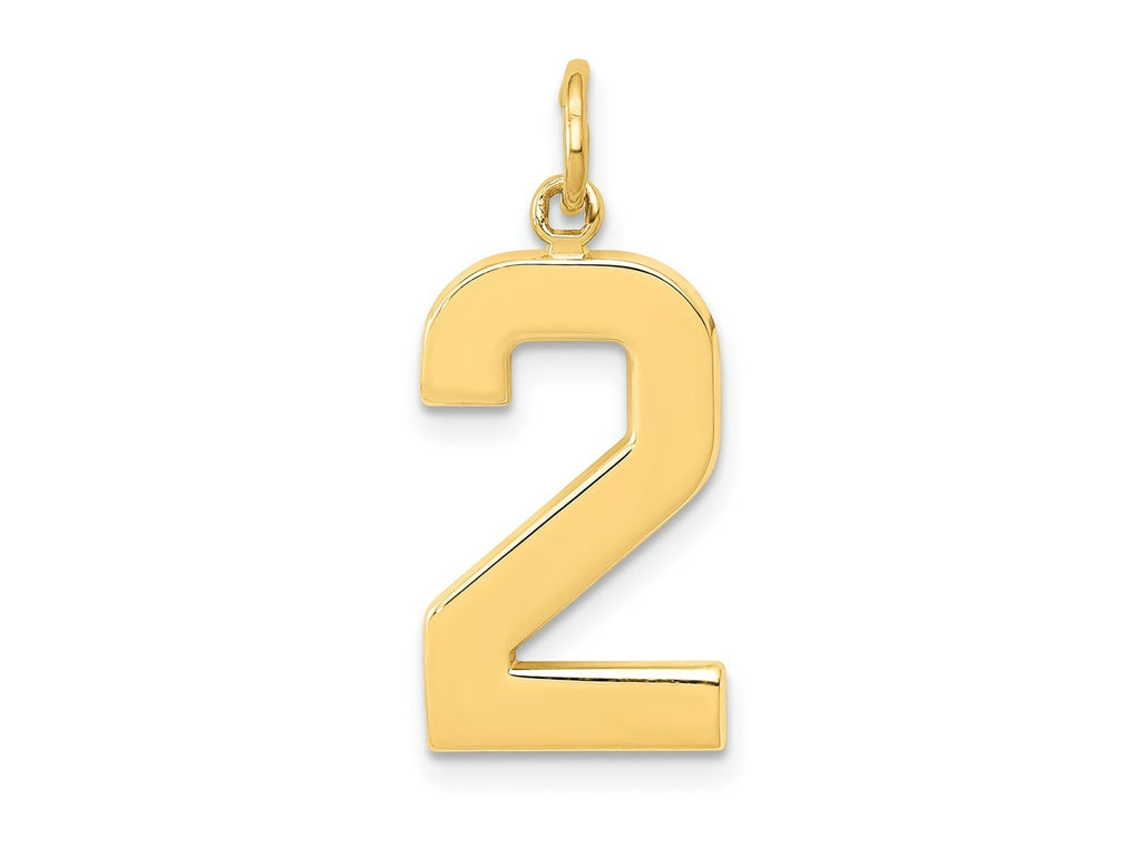 FJC Finejewelers 10 kt Yellow Gold Casted Large Polished Number 2 Charm 25 x 10 mm