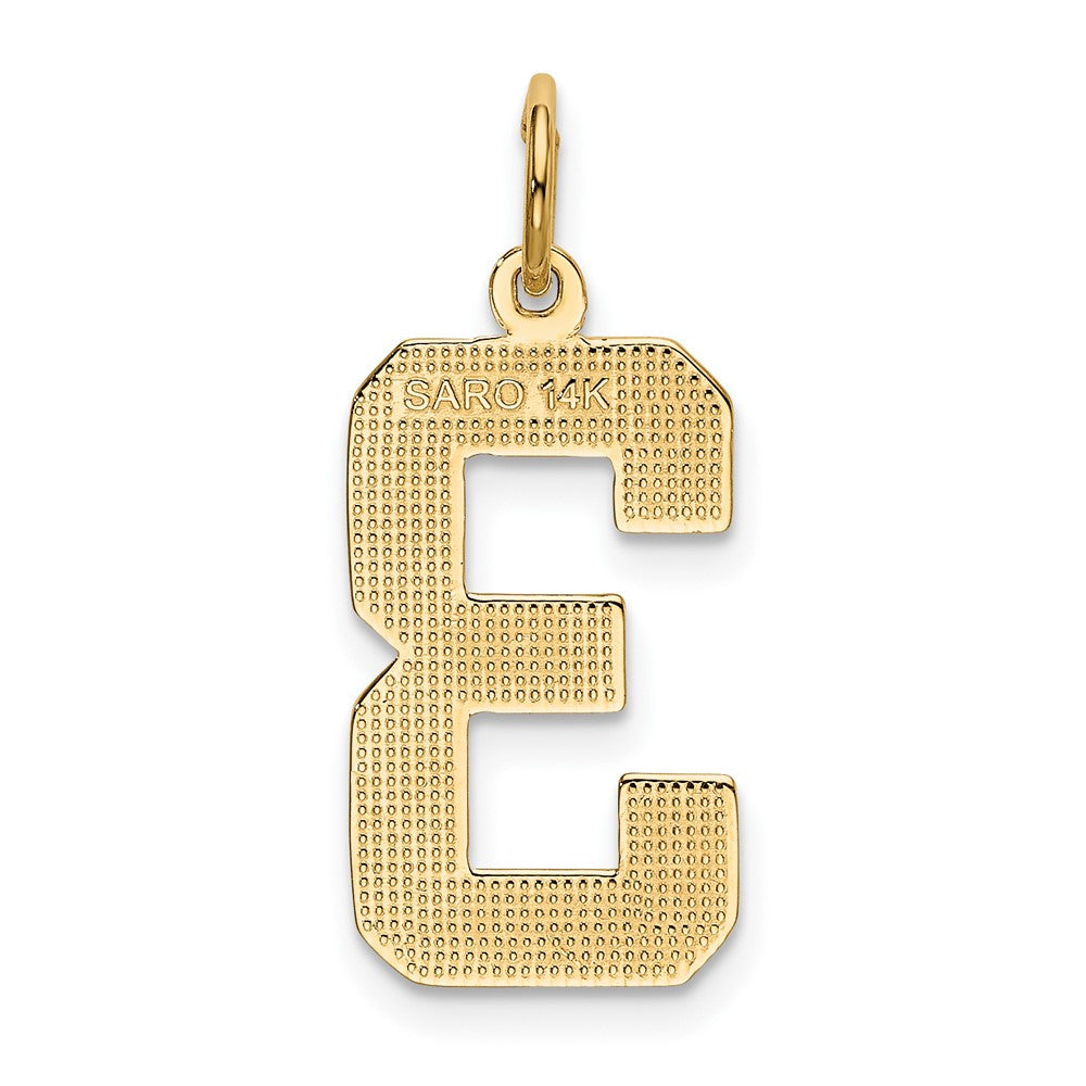 FJC Finejewelers 10 kt Yellow Gold Casted Large Polished Number 3 Charm 25 x 10 mm