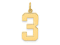 FJC Finejewelers 10 kt Yellow Gold Casted Large Polished Number 3 Charm 25 x 10 mm