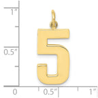 FJC Finejewelers 10 kt Yellow Gold Casted Large Polished Number 5 Charm 25 x 10 mm