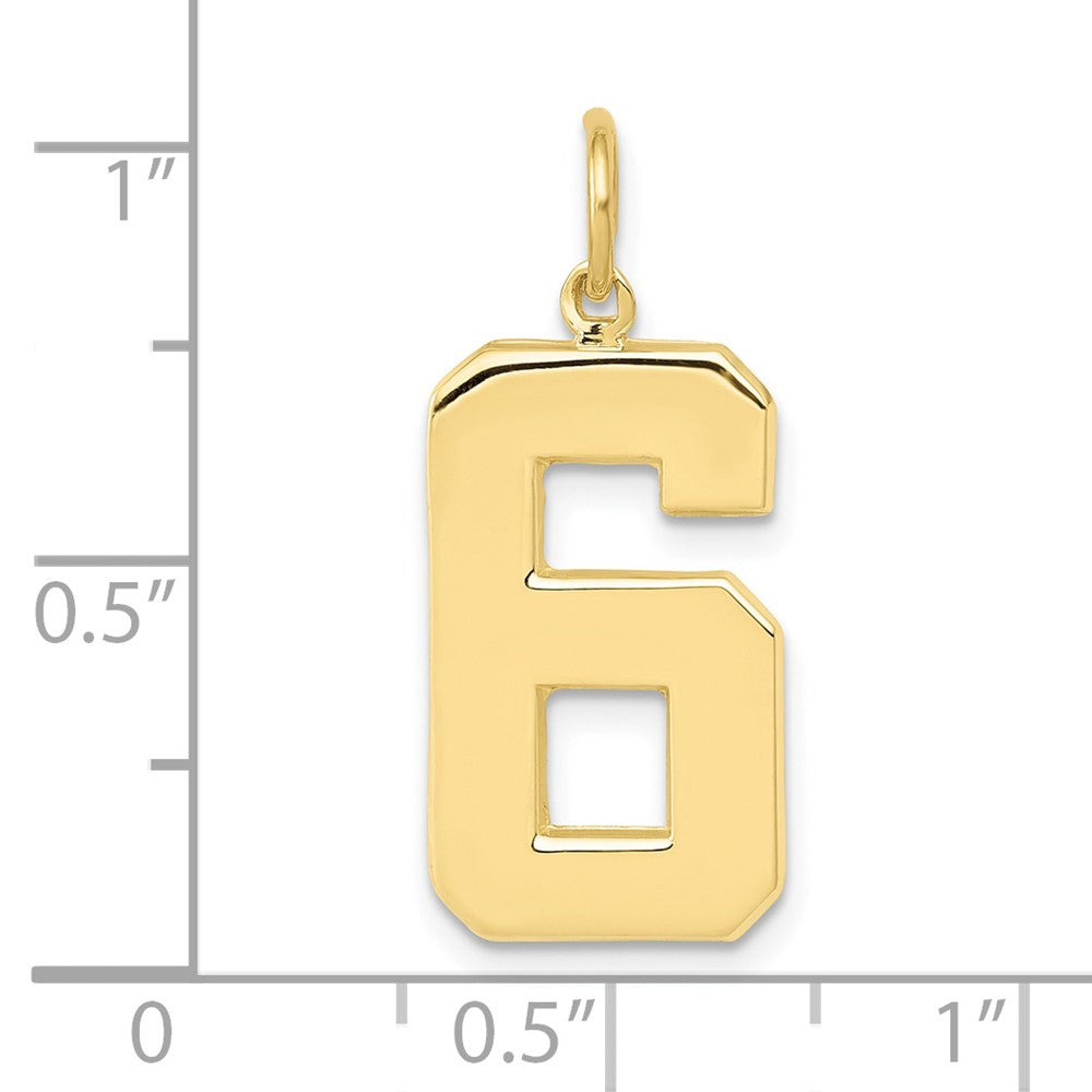 FJC Finejewelers 10 kt Yellow Gold Casted Large Polished Number 6 Charm 25 x 10 mm