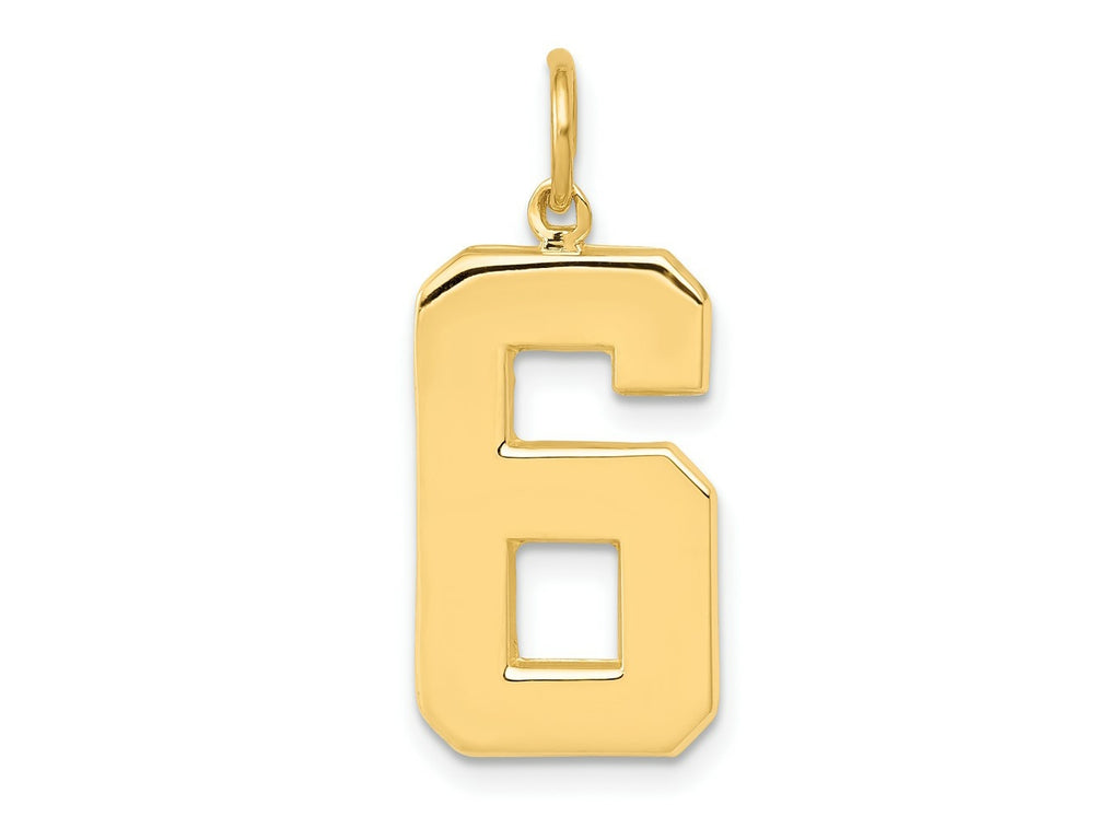 FJC Finejewelers 10 kt Yellow Gold Casted Large Polished Number 6 Charm 25 x 10 mm