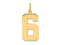 FJC Finejewelers 10 kt Yellow Gold Casted Large Polished Number 6 Charm 25 x 10 mm