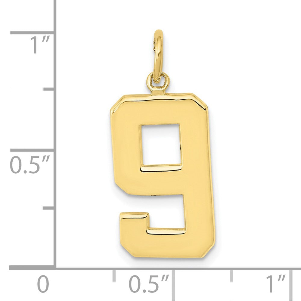 FJC Finejewelers 10 kt Yellow Gold Casted Large Polished Number 9 Charm 25 x 10 mm