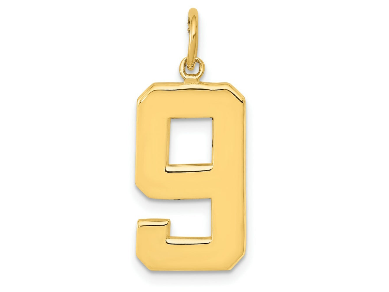 FJC Finejewelers 10 kt Yellow Gold Casted Large Polished Number 9 Charm 25 x 10 mm