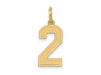 FJC Finejewelers 10 kt Yellow Gold Medium Satin Number 2 Charm 20 x 8 mm
