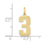 FJC Finejewelers 10 kt Yellow Gold Medium Satin Number 3 Charm 20 x 8 mm