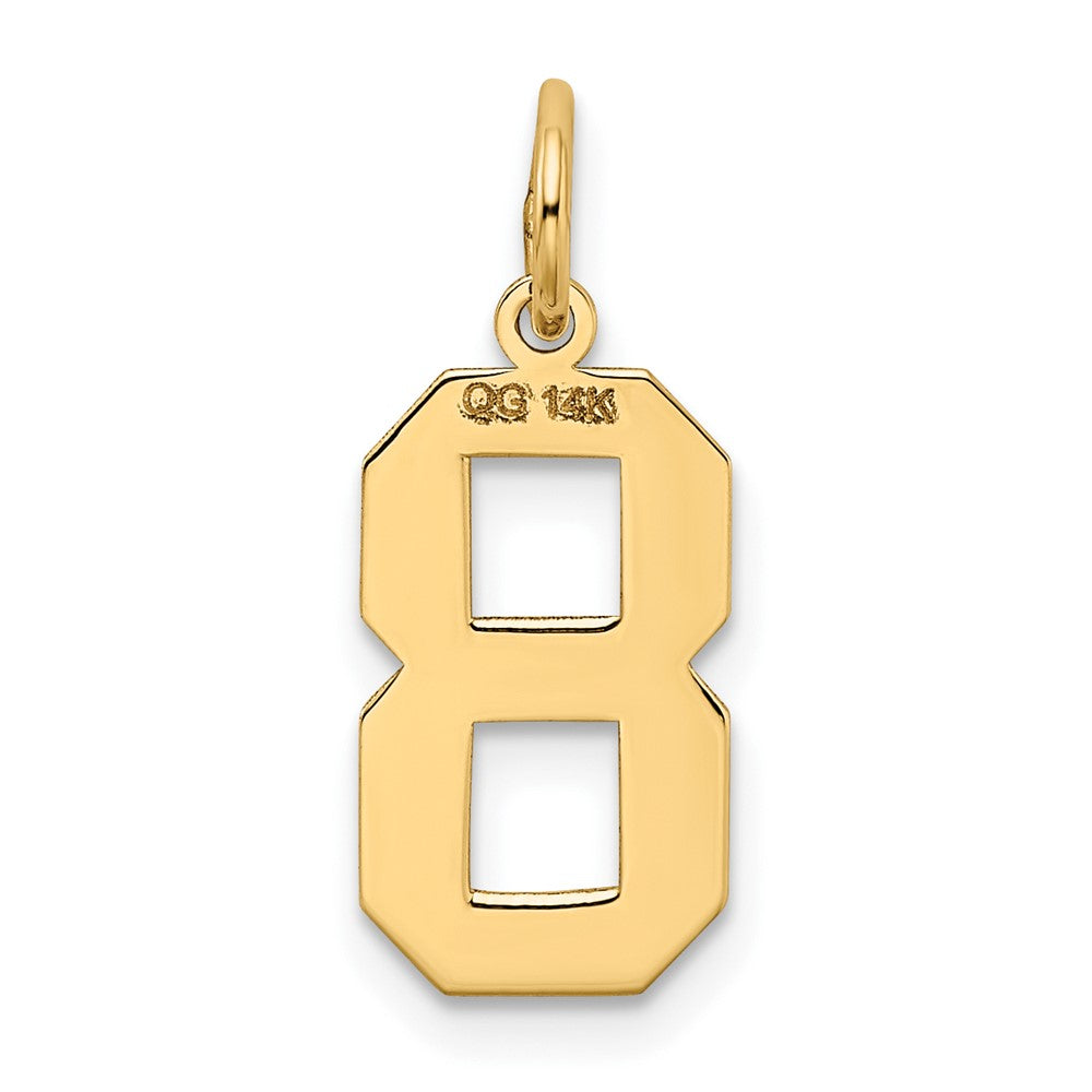 FJC Finejewelers 10 kt Yellow Gold Medium Satin Number 8 Charm 20 x 8 mm