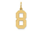 FJC Finejewelers 10 kt Yellow Gold Medium Satin Number 8 Charm 20 x 8 mm