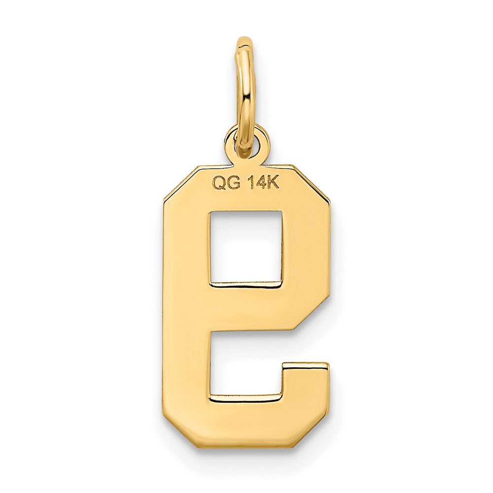 FJC Finejewelers 10 kt Yellow Gold Medium Satin Number 9 Charm 20 x 8 mm