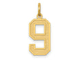 FJC Finejewelers 10 kt Yellow Gold Medium Satin Number 9 Charm 20 x 8 mm