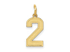 FJC Finejewelers 10 kt Yellow Gold Small Satin Number 2 Charm 18 x 7 mm
