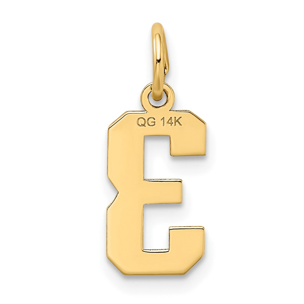 FJC Finejewelers 10 kt Yellow Gold Small Satin Number 3 Charm 18 x 7 mm