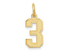FJC Finejewelers 10 kt Yellow Gold Small Satin Number 3 Charm 18 x 7 mm