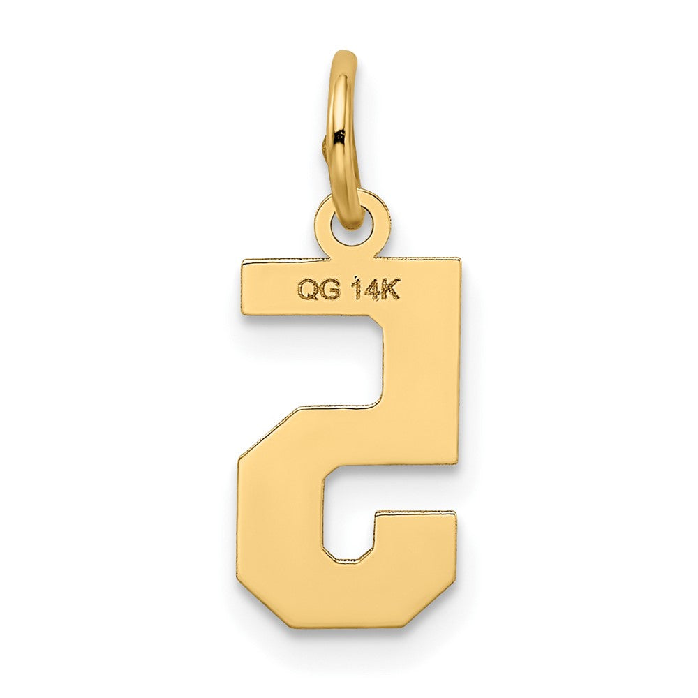 FJC Finejewelers 10 kt Yellow Gold Small Satin Number 5 Charm 18 x 7 mm