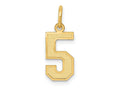 FJC Finejewelers 10 kt Yellow Gold Small Satin Number 5 Charm 18 x 7 mm