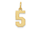 FJC Finejewelers 10 kt Yellow Gold Small Satin Number 5 Charm 18 x 7 mm