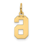 FJC Finejewelers 10 kt Yellow Gold Small Satin Number 6 Charm 18 x 7 mm