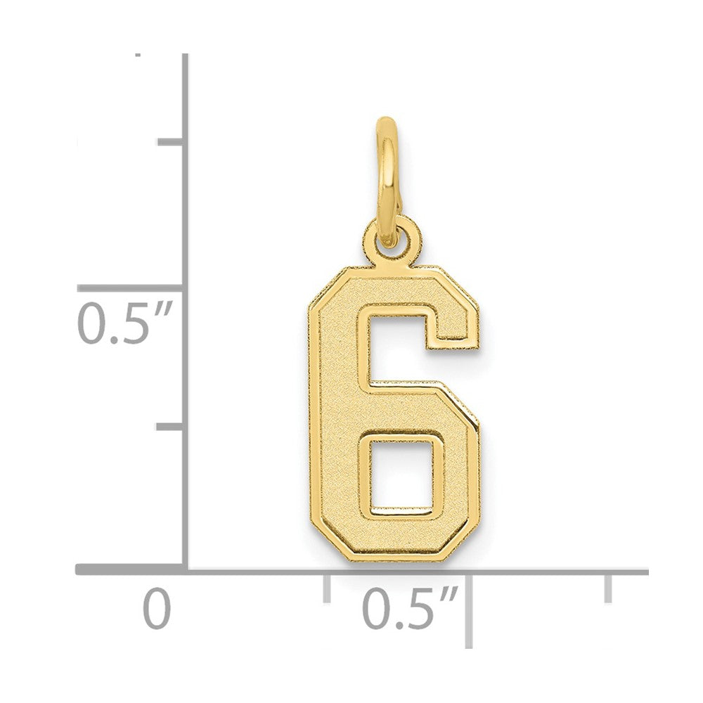 FJC Finejewelers 10 kt Yellow Gold Small Satin Number 6 Charm 18 x 7 mm