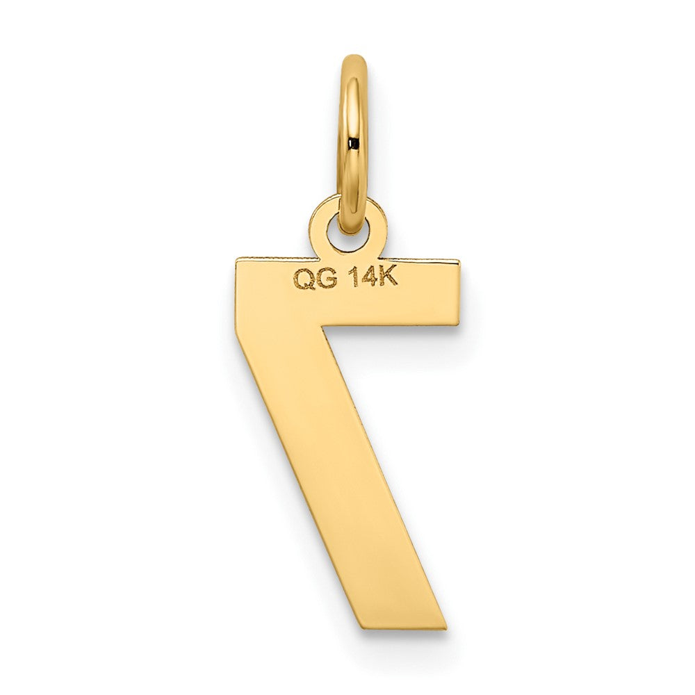 FJC Finejewelers 10 kt Yellow Gold Small Satin Number 7 Charm 18 x 7 mm