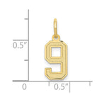 FJC Finejewelers 10 kt Yellow Gold Small Satin Number 9 Charm 18 x 7 mm