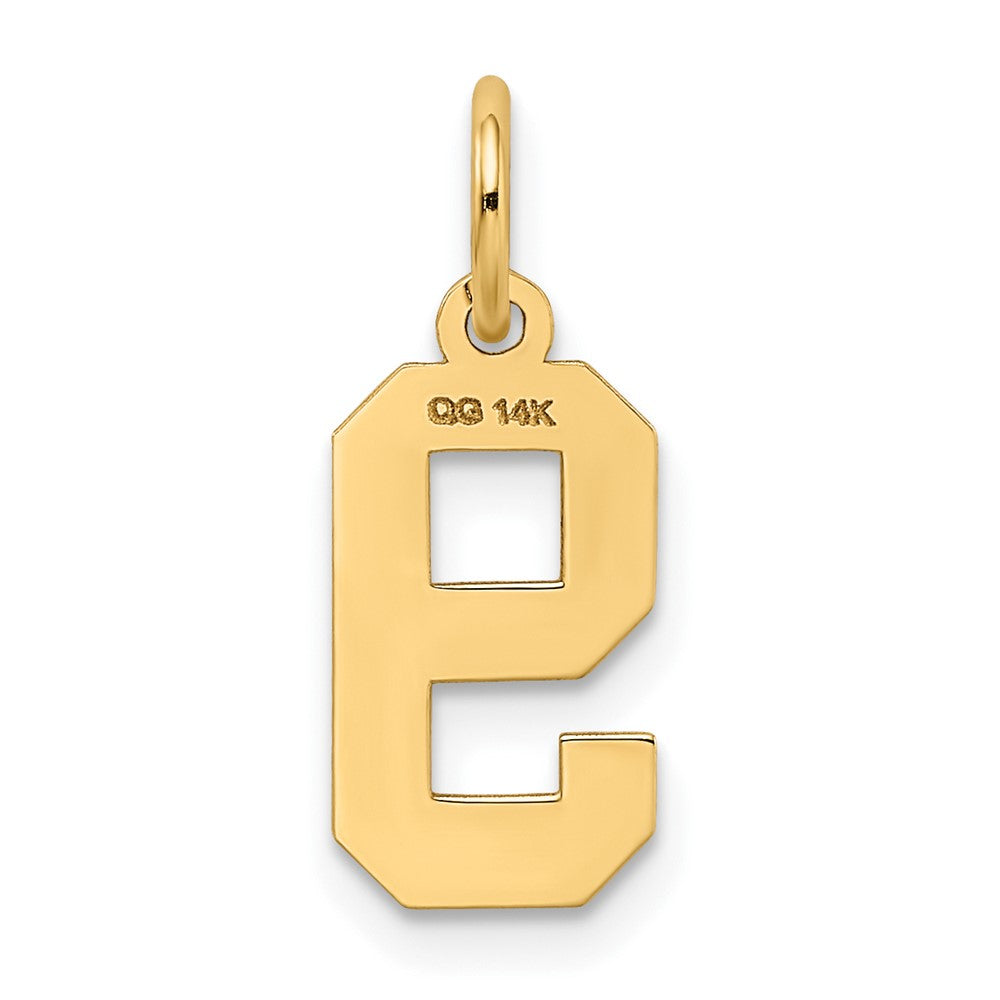 FJC Finejewelers 10 kt Yellow Gold Small Satin Number 9 Charm 18 x 7 mm