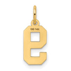 FJC Finejewelers 10 kt Yellow Gold Small Satin Number 9 Charm 18 x 7 mm