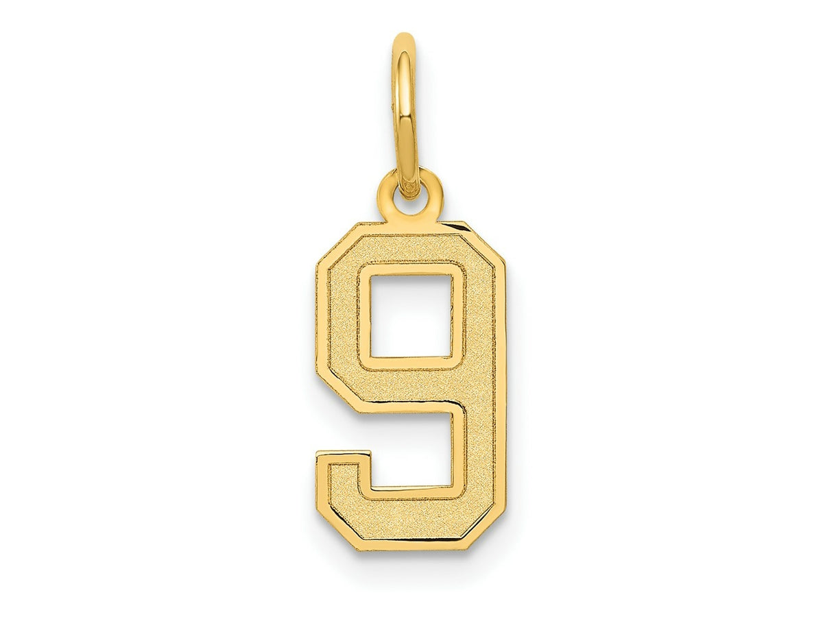 FJC Finejewelers 10 kt Yellow Gold Small Satin Number 9 Charm 18 x 7 mm