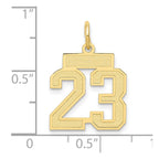 FJC Finejewelers 10 kt Yellow Gold Small Satin Number 23 Charm 21 x 15 mm