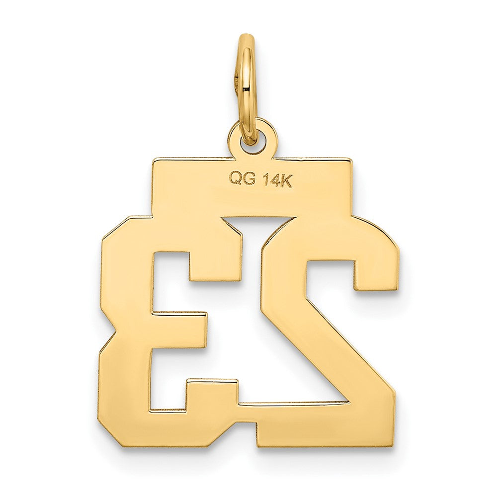 FJC Finejewelers 10 kt Yellow Gold Small Satin Number 23 Charm 21 x 15 mm