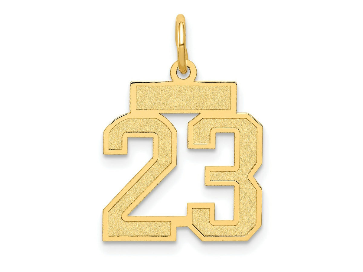 FJC Finejewelers 10 kt Yellow Gold Small Satin Number 23 Charm 21 x 15 mm